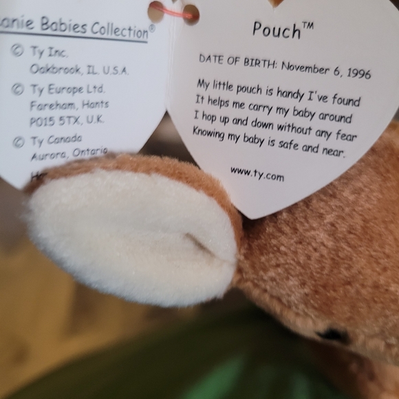 Kangaroo and Joey: plush and book - Picture 4 of 5